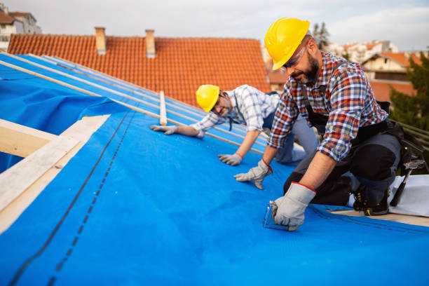 Best Gutter Installation and Roofing  in Cross Roads, TX