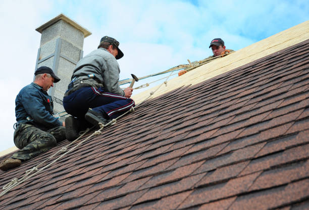 Best Roof Gutter Cleaning  in Cross Roads, TX
